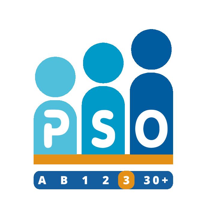 PSO Nederland Logo V01 Trede 3
