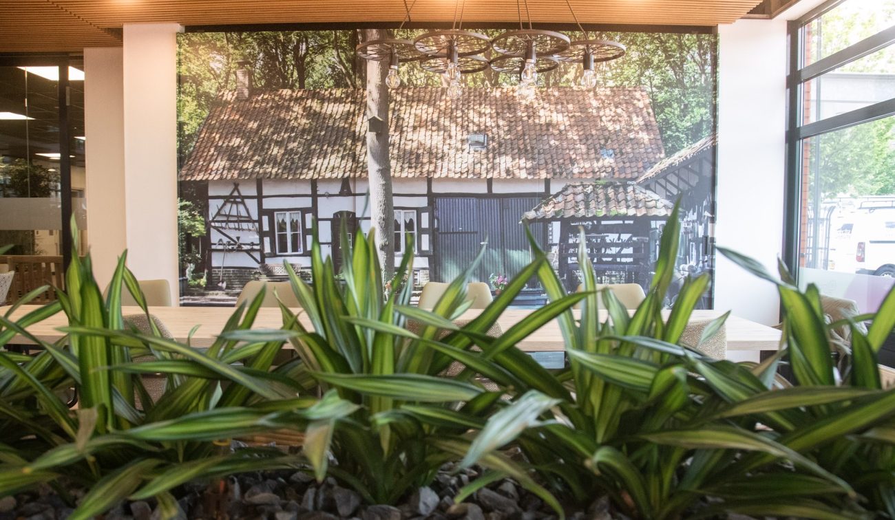 Interieur met grote plantenbak en wandfoto van vakwerkboerderij; sfeervolle zitplek met daglicht
